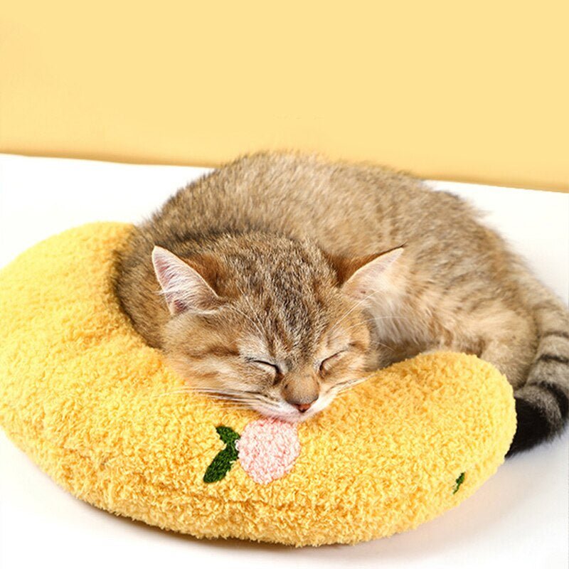 Little Pillow for Cats / Small Dogs - Lifestyle Array